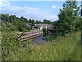 View over the River Taff, Treforest