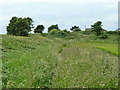 Footpath to Telscombe Road