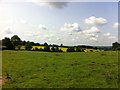 Farmland near Hanging Houghton