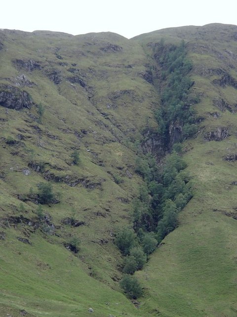 Steep hillside and wooded gully