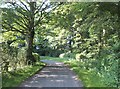 SE9680 : Leafy bend in Hudgin Lane by Barbara Carr