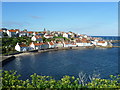 Pittenweem from West Braes