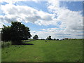 Bridleway west of Rush Farm