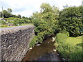 Back Brook, Kington