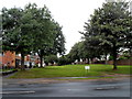 Tree-lined green, Coniston Walk, Hereford