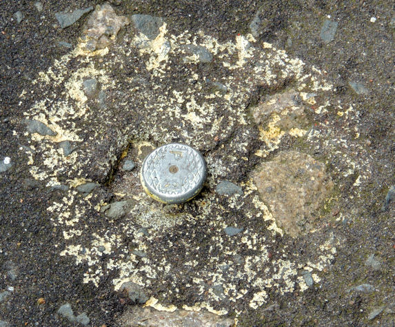 Survey mark, Belfast (2) © Albert Bridge cc-by-sa/2.0 :: Geograph ...