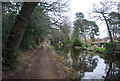 Basingstoke Canal