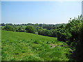 Farmland and Woods northeast of Delamere Park