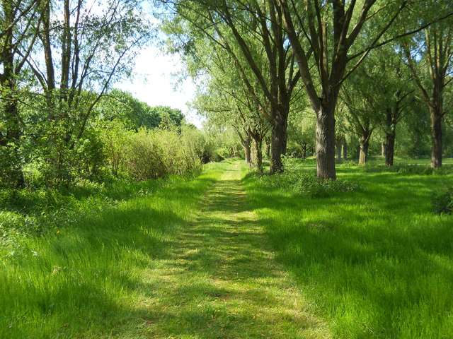 Footpath in Thorpe Meadows, Peterborough