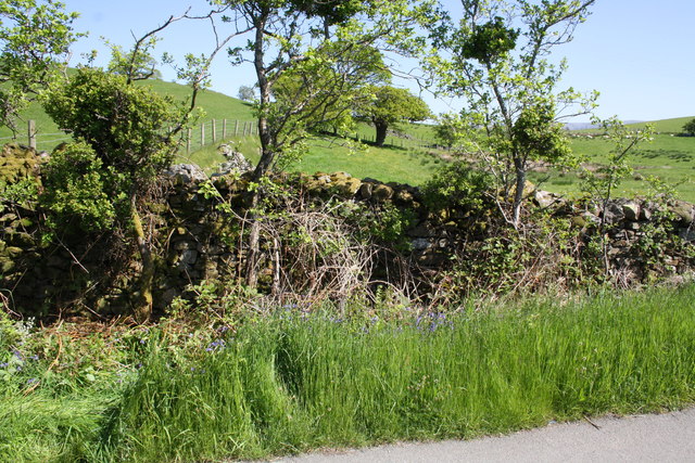 Dry stone wall on side of road to Aikrigg