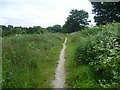 Footpath near Moor Hill