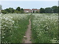 Path to Irton