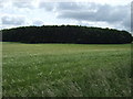 Farmland towards Norbury Hills