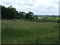 Farmland towards the River Trent