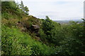 Rocks on Longwood Edge