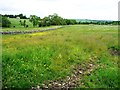 Meadow with drystone wall