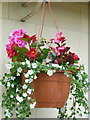 A hanging basket at the Golden Jubilee, Yarn