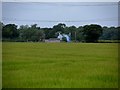 Wood Farm and wheat fields