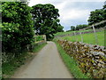 Narrow Lane leading away from Caldbergh