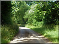 Lane to Marsh Farm