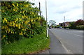 Station Road in the village of Bagworth