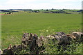 View across lavender fields near Snowshill