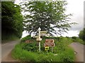 Beech Tree Cross