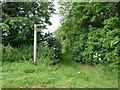 Bridleway to Housham Hall