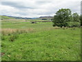 Farmland near Eudinuagain