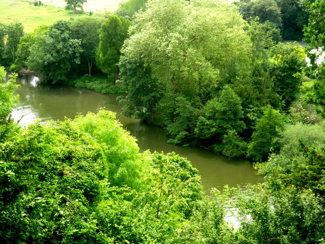 The tree-lined River Thames below Cliveden