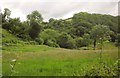 Pulham River valley