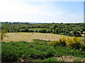 Harvested hay meadows on the border