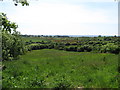 Farmland south of the Carewamean Road