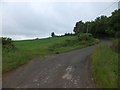 Field at a bend in the road at Taw Green