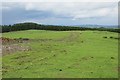 East of Muirfield triangulation pillar