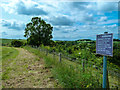 Trail by Renshaw Woods