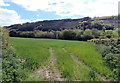 Field on the east bank of the Wye, Boughrood