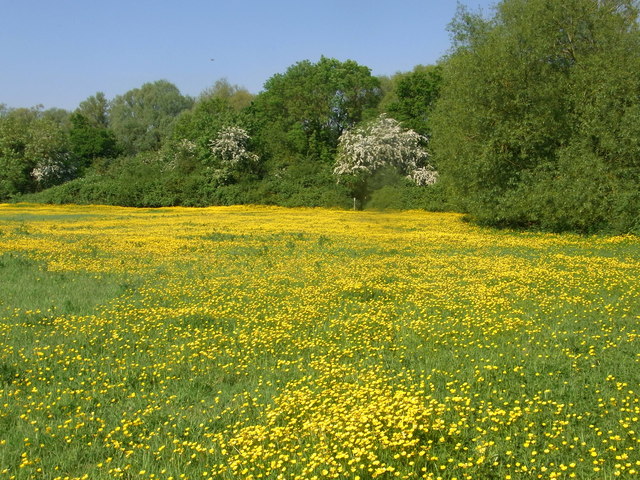 Wychavon Way near Carrant Brook Farm © Liz Stone :: Geograph Britain ...