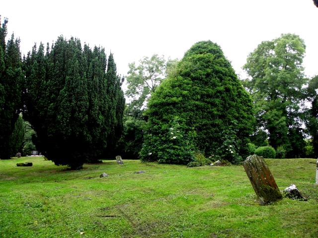 Ruined church at Portmore graveyard