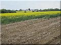 Across the Fields to Witham Road