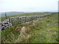 SD8778 : Palletised boundary wall, Little Fell by Christine Johnstone