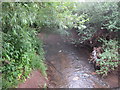 The River Frome upstream from Nightingale