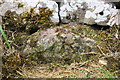 Benchmark on roadside wall north of Redmire