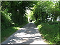 A tree lined section of Tievecrom Road