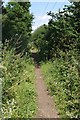 Bridleway to Downham Hall