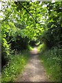 Bridleway to Pill Lane