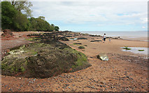 NH7358 : Rocky beach above Rosemarkie by Peter Church