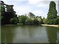 Lake, Bedford Park