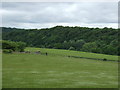 Farmland and woodland, Invertiel