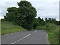 Country road, Donbristle